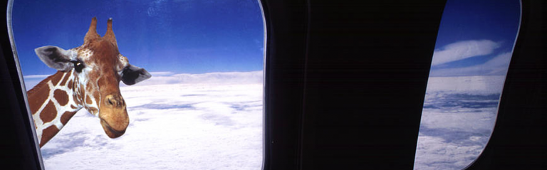 Plane